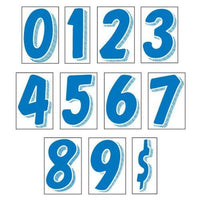 Blue on White Windshield Numbers