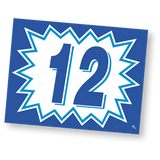 Blue & White Burst Model Year Decals