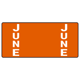 Month Color-Coded Ringbook Labels