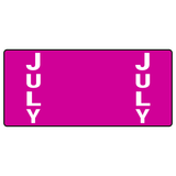 Month Color-Coded Ringbook Labels